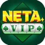 Neta vip app download